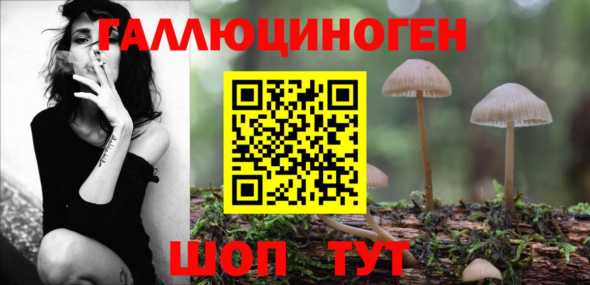 Нурлат  Псилоцибиновые грибы мицелий  Вход с VPN 